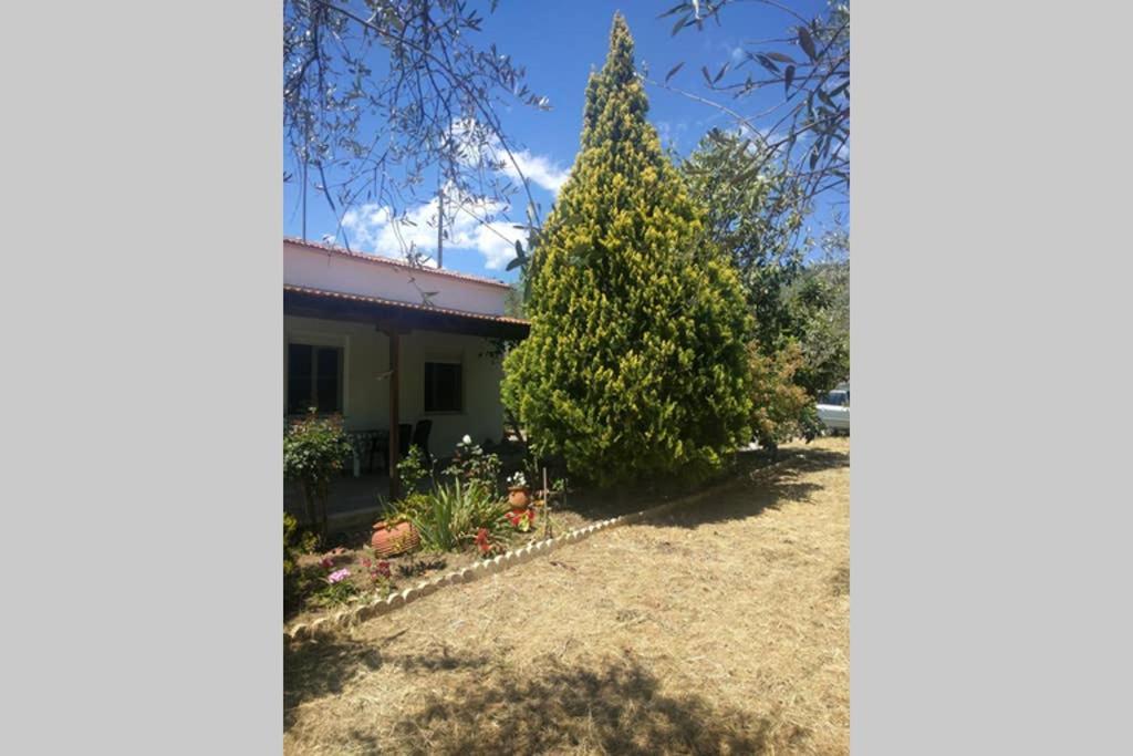 Irinis Cottage Kala Nera Exterior photo