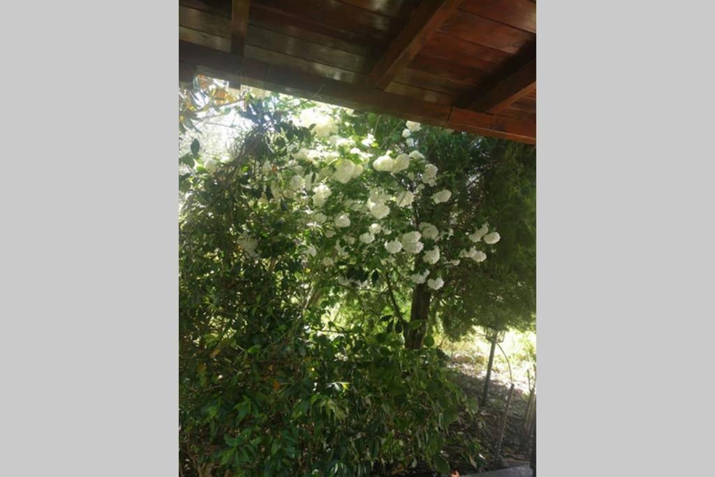 Irinis Cottage Kala Nera Exterior photo